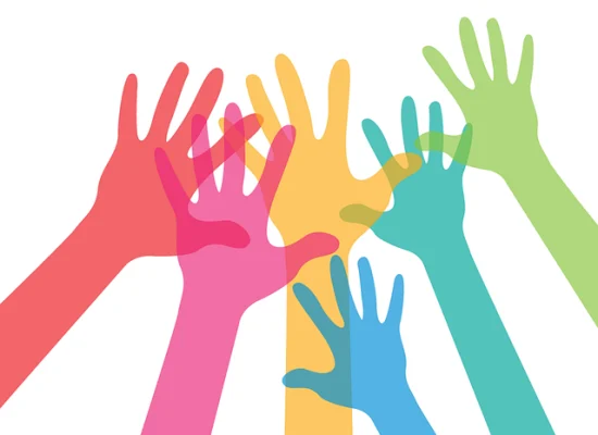 Subvenciones Fisela Vigo